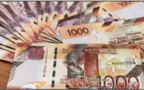Kenyan shilling notes fanned out